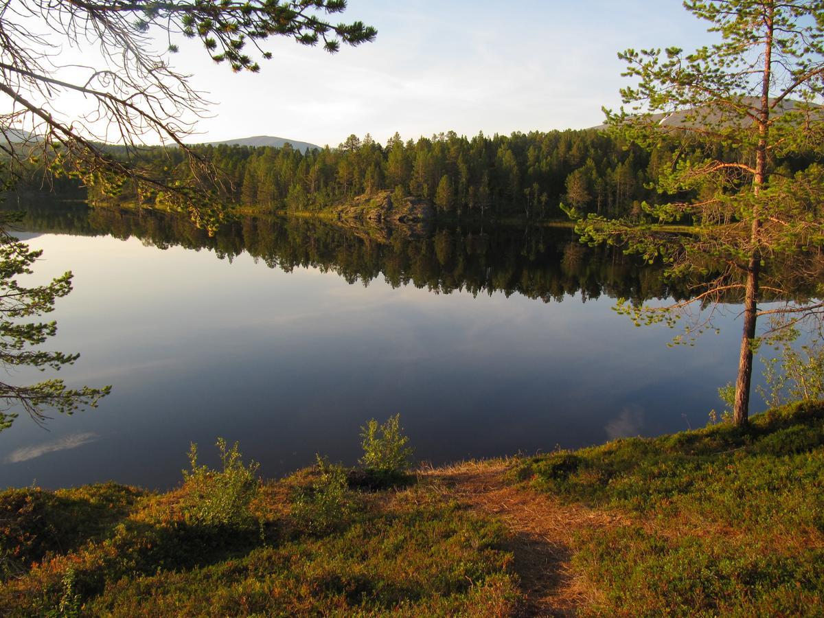 Malangen Lodge Mestervik Exterior foto