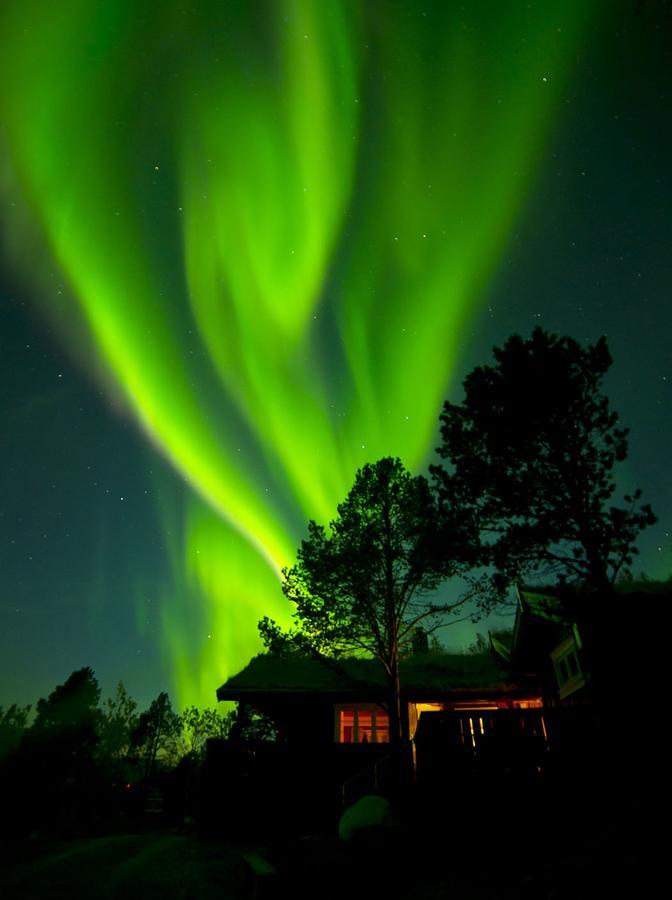 Malangen Lodge Mestervik Exterior foto